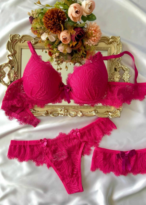 imagem_2025-12-09_092101140